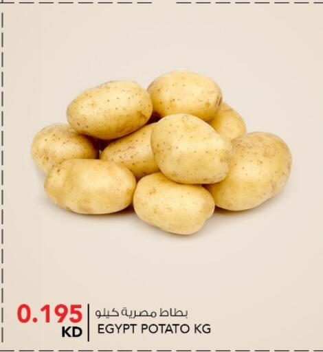 Potato from Egypt available at  ALNASSER HYPERMARKET in Kuwait - Kuwait City