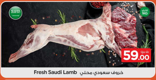 available at بن داود in قطر - الدوحة