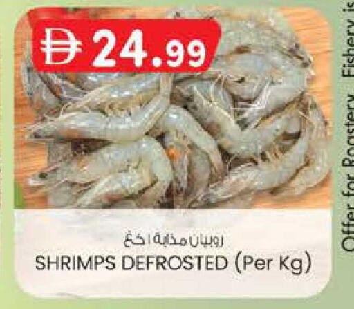 available at ك. الم. للتجارة in الإمارات العربية المتحدة , الامارات - ٱلْفُجَيْرَة‎