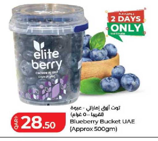 Blueberry BlueBerry available at لولو هايبرماركت in قطر - الريان