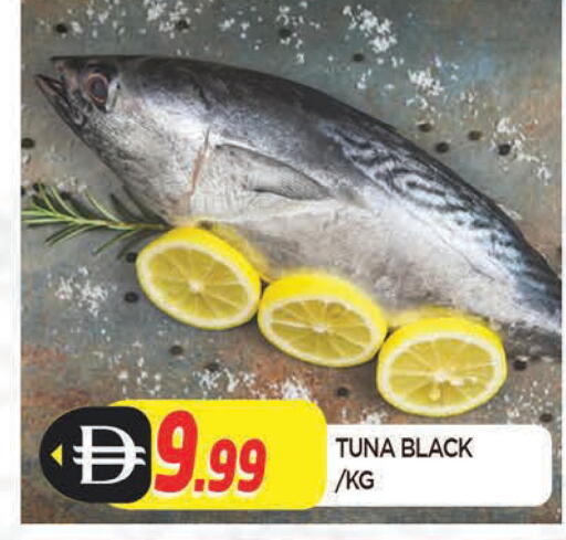 available at المدينة in الإمارات العربية المتحدة , الامارات - الشارقة / عجمان