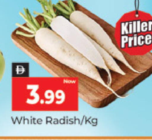 Radish available at المدينة in الإمارات العربية المتحدة , الامارات - دبي