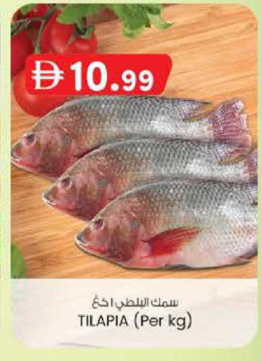 available at ك. إم. هايبرماركت in الإمارات العربية المتحدة , الامارات - أبو ظبي