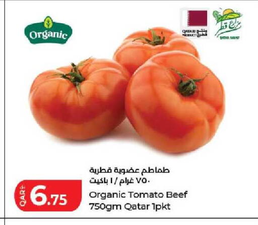 Tomato available at لولو هايبرماركت in قطر - الدوحة