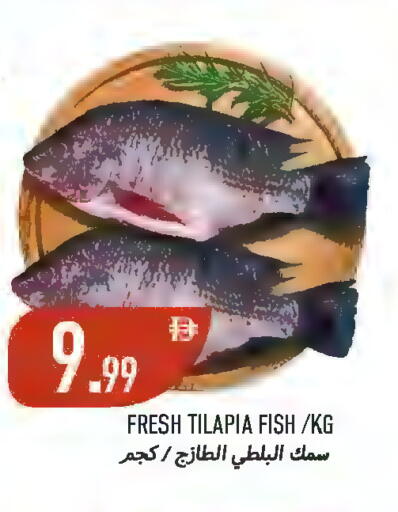 available at  روابي ماركت عجمان in الإمارات العربية المتحدة , الامارات - الشارقة / عجمان