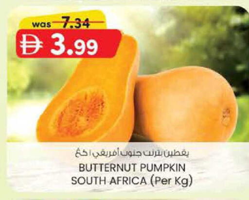 Pumpkin from South Africa available at صفا اكسبريس سوبرماركت in الإمارات العربية المتحدة , الامارات - أبو ظبي