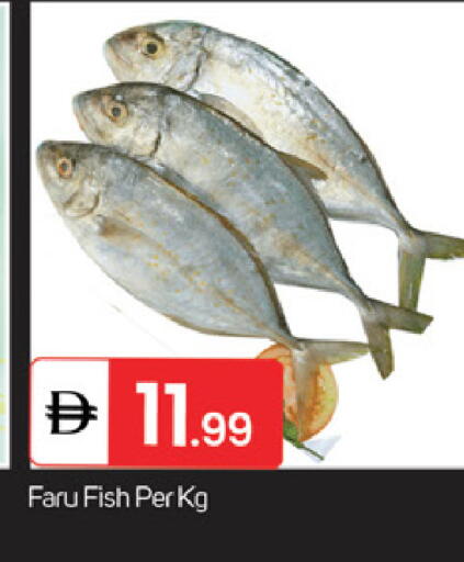 available at TALAL MARKET in UAE - Fujairah