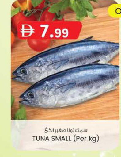 available at صفا اكسبريس سوبرماركت in الإمارات العربية المتحدة , الامارات - أبو ظبي