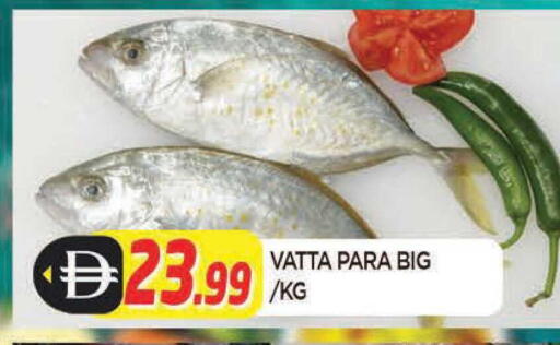 available at المدينة in الإمارات العربية المتحدة , الامارات - الشارقة / عجمان