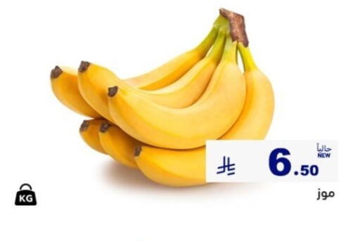 available at أسواق رامز in مملكة العربية السعودية, السعودية, سعودية - المنطقة الشرقية