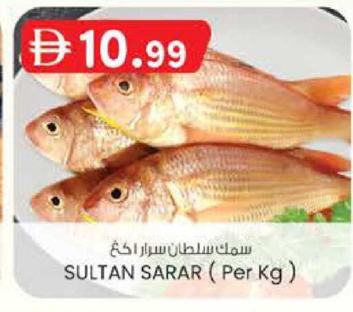 available at Safa Hyper in UAE - Al Ain
