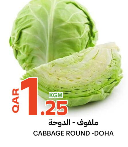 Cabbage from Qatar available at Al Baladi Al Yawm in Qatar - Al-Shahaniya