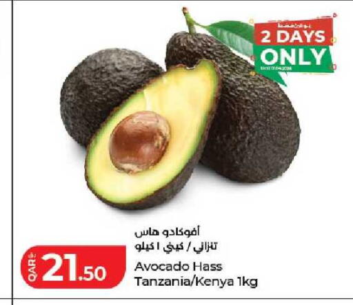 Avocado from Tanzania Kenya available at لولو هايبرماركت in قطر - الريان