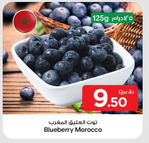 Blueberry BlueBerry from Morocco available at بن داود in قطر - الدوحة