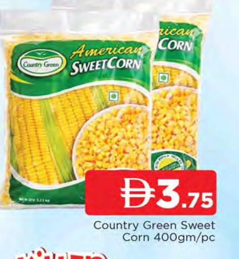 available at المدينة in الإمارات العربية المتحدة , الامارات - الشارقة / عجمان