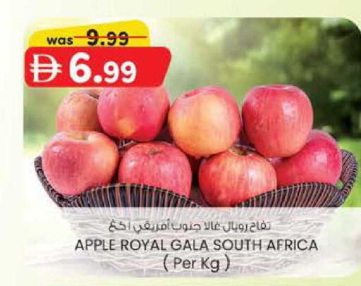 Apple from South Africa available at ك. الم. للتجارة in الإمارات العربية المتحدة , الامارات - الشارقة / عجمان