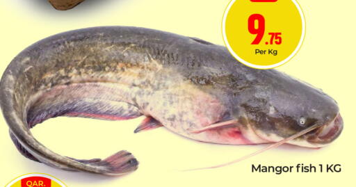 available at باريس هايبرماركت in قطر - الريان