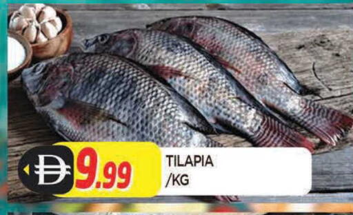 available at المدينة in الإمارات العربية المتحدة , الامارات - الشارقة / عجمان