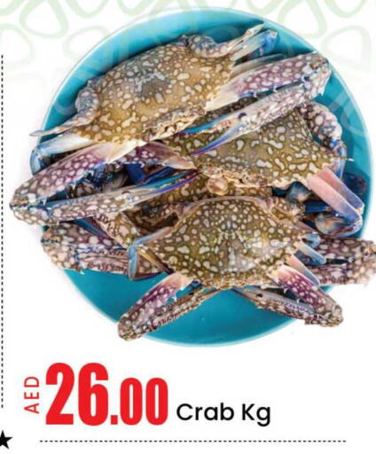 Mango available at مانجو هايبرماركت in الإمارات العربية المتحدة , الامارات - دبي