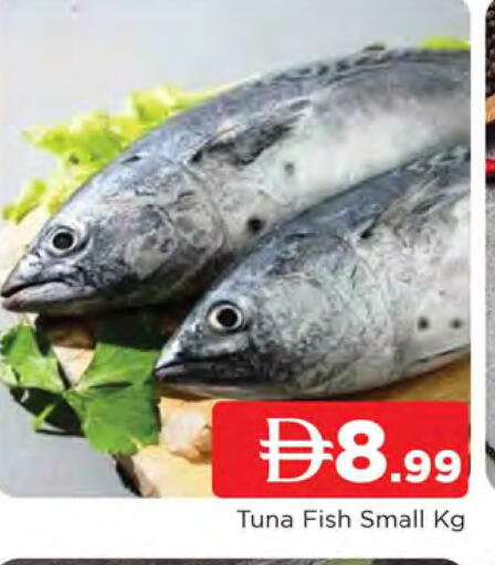 available at المدينة in الإمارات العربية المتحدة , الامارات - الشارقة / عجمان