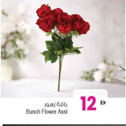 available at أنصار مول in الإمارات العربية المتحدة , الامارات - الشارقة / عجمان