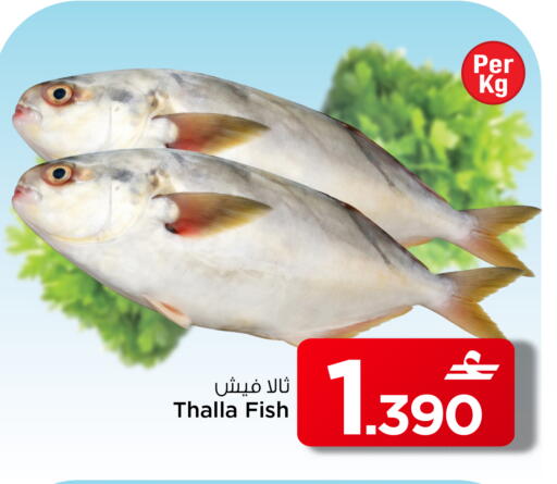 available at مارك & سايف in عُمان - مسقط‎