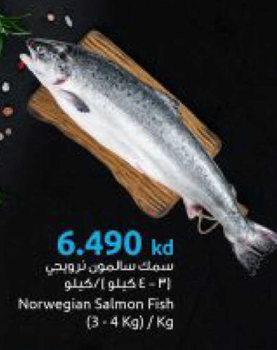 available at The Sultan Center in Kuwait - Kuwait City