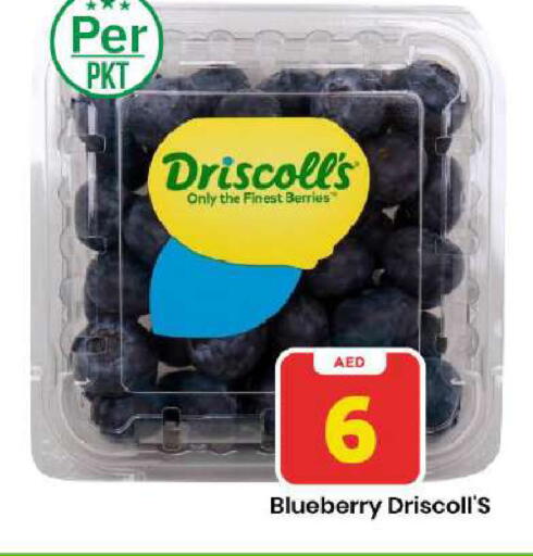 Blueberry BlueBerry available at مارك & سيف in الإمارات العربية المتحدة , الامارات - دبي