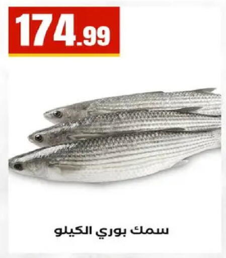 available at مارت فيل in Egypt - القاهرة