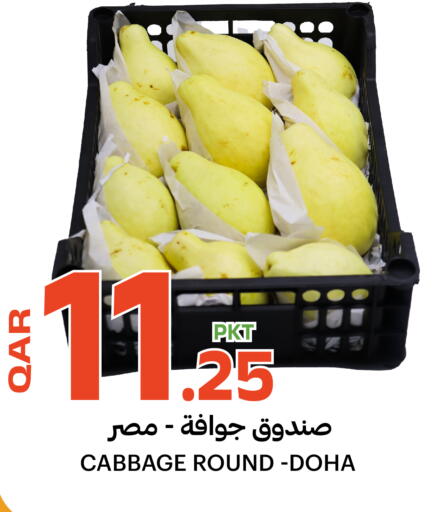 Cabbage from Qatar available at البلدي اليوم in قطر - الشمال