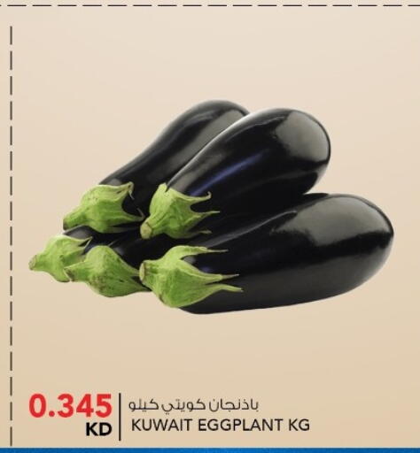 Cabbage available at  ALNASSER HYPERMARKET in Kuwait - Kuwait City