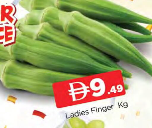 available at المدينة in الإمارات العربية المتحدة , الامارات - الشارقة / عجمان