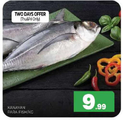 available at المدينة in الإمارات العربية المتحدة , الامارات - الشارقة / عجمان