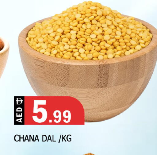 available at المدينة in الإمارات العربية المتحدة , الامارات - الشارقة / عجمان