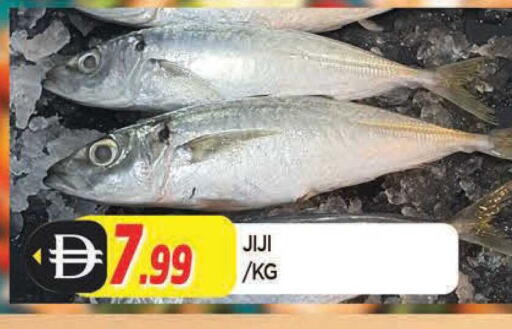 available at المدينة in الإمارات العربية المتحدة , الامارات - الشارقة / عجمان