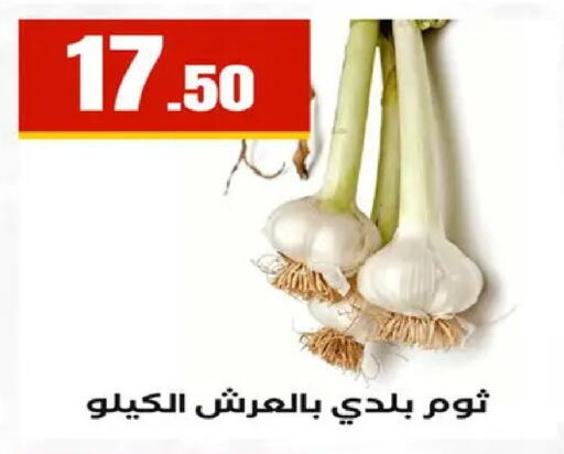 available at مارت فيل in Egypt - القاهرة