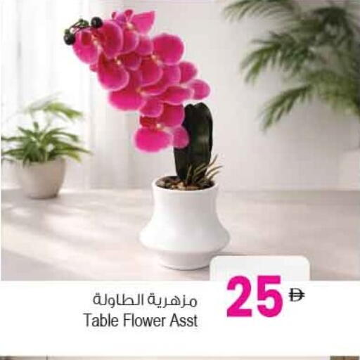 available at أنصار مول in الإمارات العربية المتحدة , الامارات - الشارقة / عجمان
