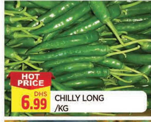 available at المدينة in الإمارات العربية المتحدة , الامارات - الشارقة / عجمان