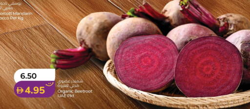 Mandarin Beetroot from Morocco available at لولو هايبرماركت in الإمارات العربية المتحدة , الامارات - الشارقة / عجمان