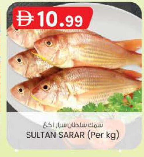 available at ك. الم. للتجارة in الإمارات العربية المتحدة , الامارات - الشارقة / عجمان