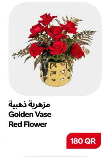 available at سنومارت in قطر - الشمال