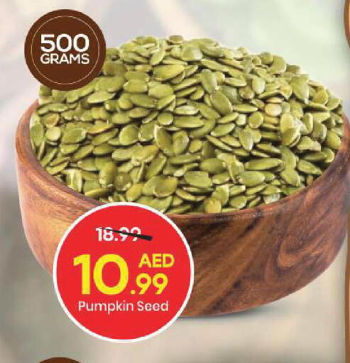 Pumpkin available at مارك & سيف in الإمارات العربية المتحدة , الامارات - أبو ظبي