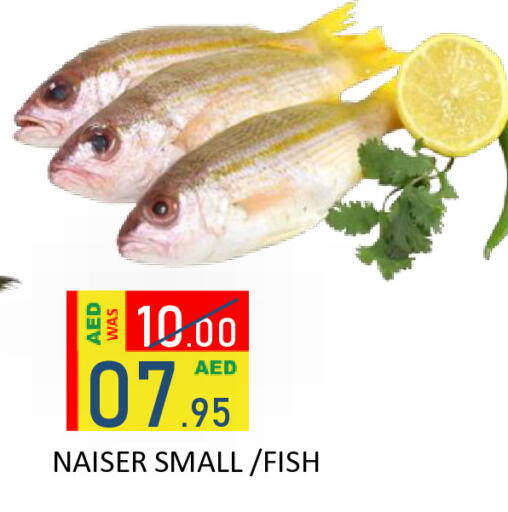 available at رويال جلف هايبرماركت in الإمارات العربية المتحدة , الامارات - أبو ظبي