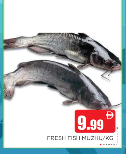 available at اينس المدينة هايبرماركت in الإمارات العربية المتحدة , الامارات - الشارقة / عجمان