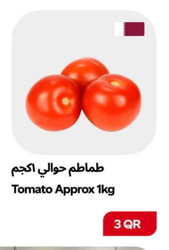 Tomato available at سنومارت in قطر - الشمال