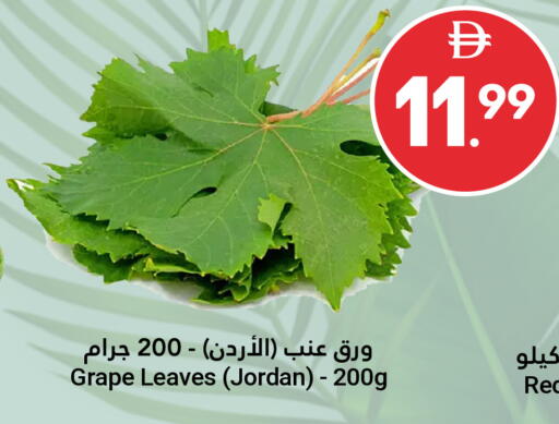 available at جراند الإمارات للتسوق in الإمارات العربية المتحدة , الامارات - أبو ظبي