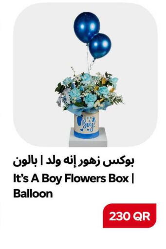 available at سنومارت in قطر - الدوحة