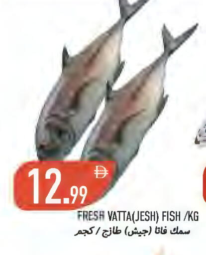 available at  روابي ماركت عجمان in الإمارات العربية المتحدة , الامارات - الشارقة / عجمان