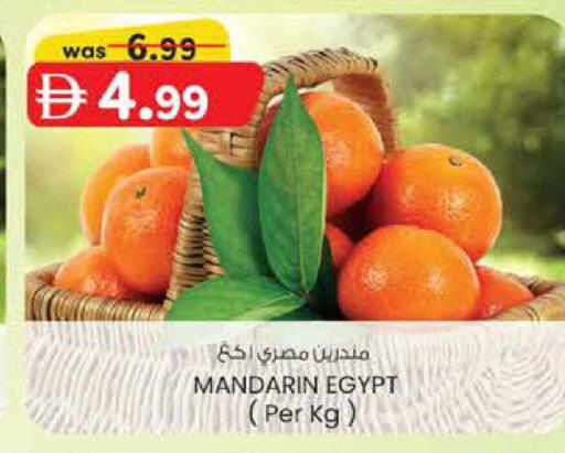 Mandarin from Egypt available at ك. الم. للتجارة in الإمارات العربية المتحدة , الامارات - الشارقة / عجمان