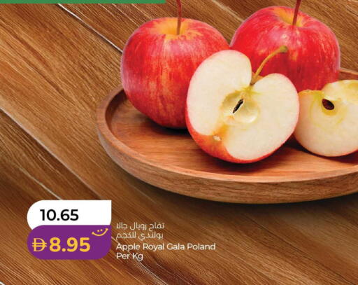 Apple from Poland available at لولو هايبرماركت in الإمارات العربية المتحدة , الامارات - ٱلْفُجَيْرَة‎